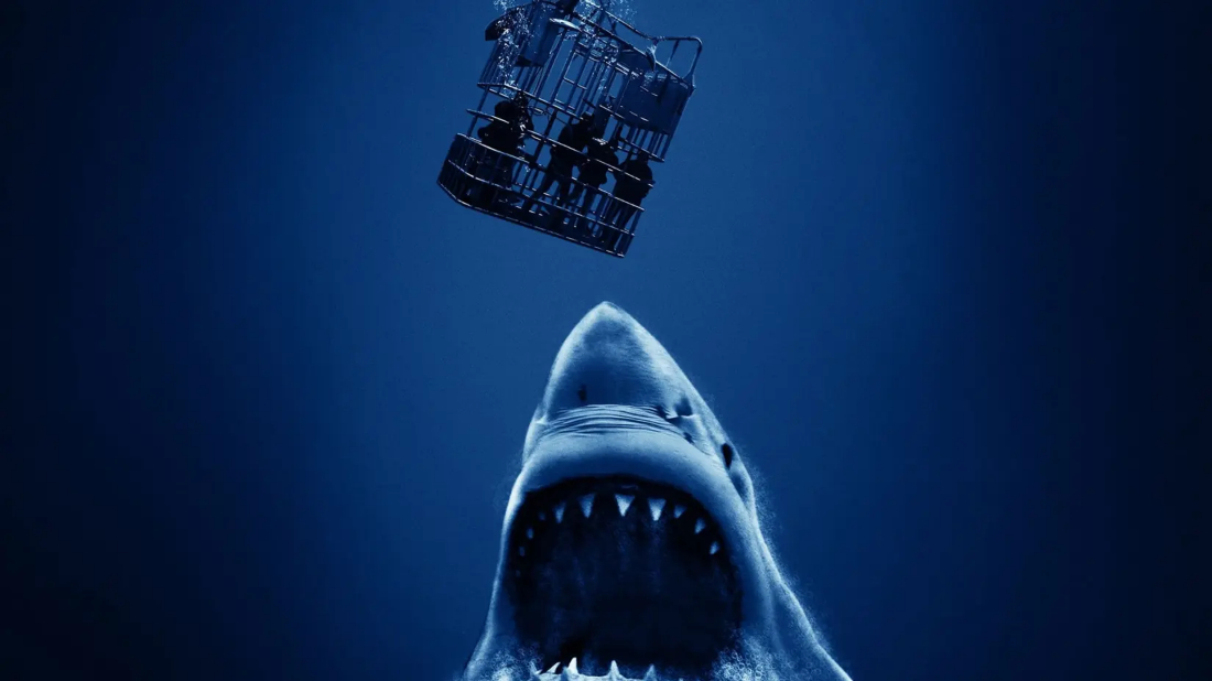 Açık Deniz 3: Kafes Dalışı (Open Water 3: Cage Dive) izlemek için tıklayınız.
