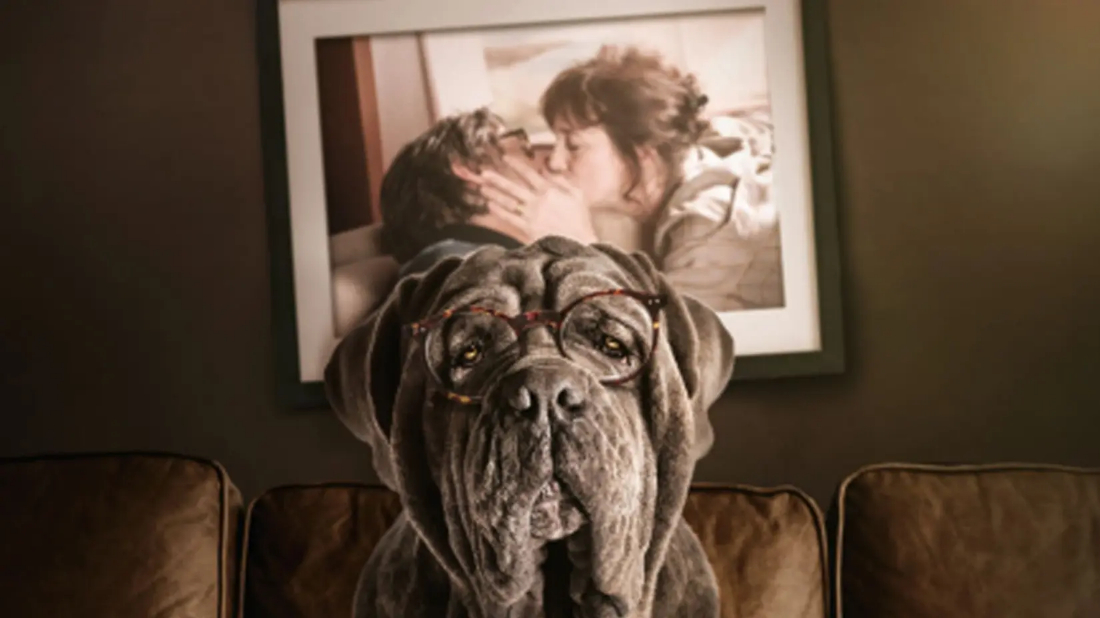 Benim Şapşik Köpeğim (Mon chien Stupide) izlemek için tıklayınız.