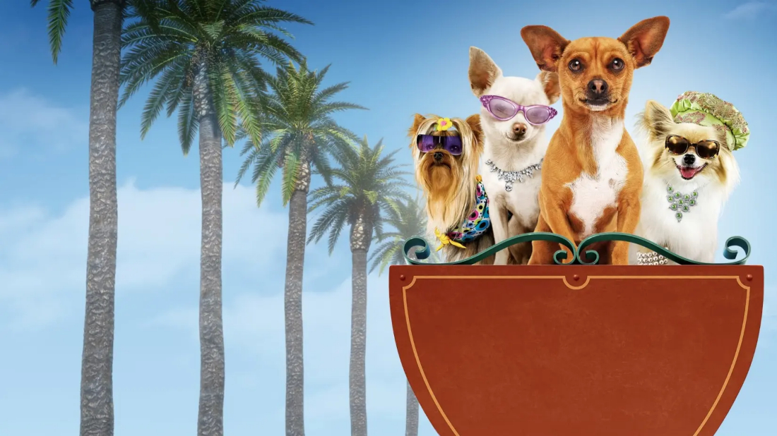 Beverly Hills Çuvava (Beverly Hills Chihuahua) izlemek için tıklayınız.
