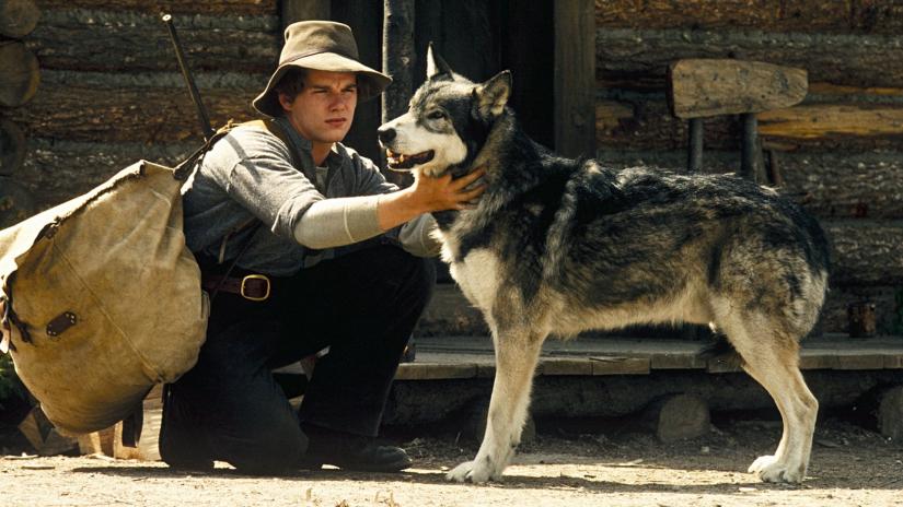 Beyaz Diş (White Fang) izlemek için tıklayınız.