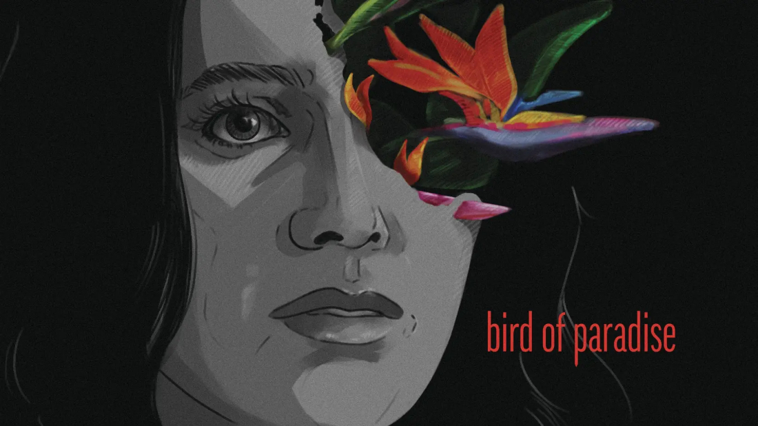 Bird of Paradise (Bird of Paradise) izlemek için tıklayınız.