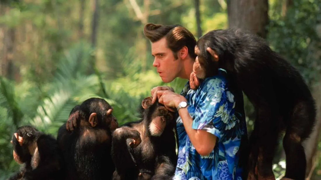 Budala Dedektif Afrika'da (Ace Ventura: When Nature Calls) izlemek için tıklayınız.