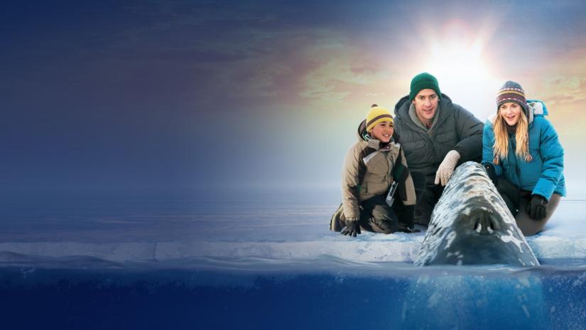 Büyük Mucize (Big Miracle) izlemek için tıklayınız.