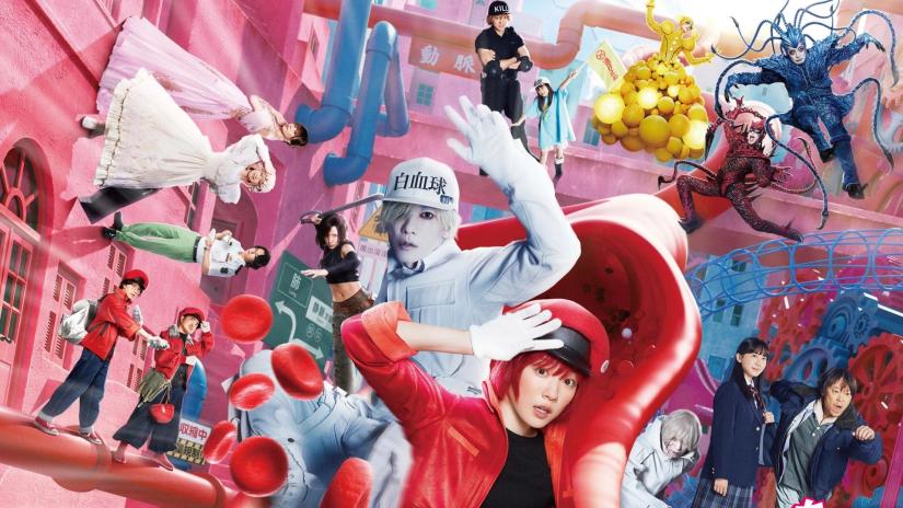 Cells At Work! (Hataraku saibou) izlemek için tıklayınız.