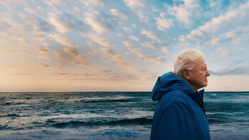 David Attenborough ile Okyanuslar (Ocean with David Attenborough) izlemek için tıklayınız.