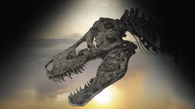 Dinosaur 13 (Dinosaur 13) izlemek için tıklayınız.