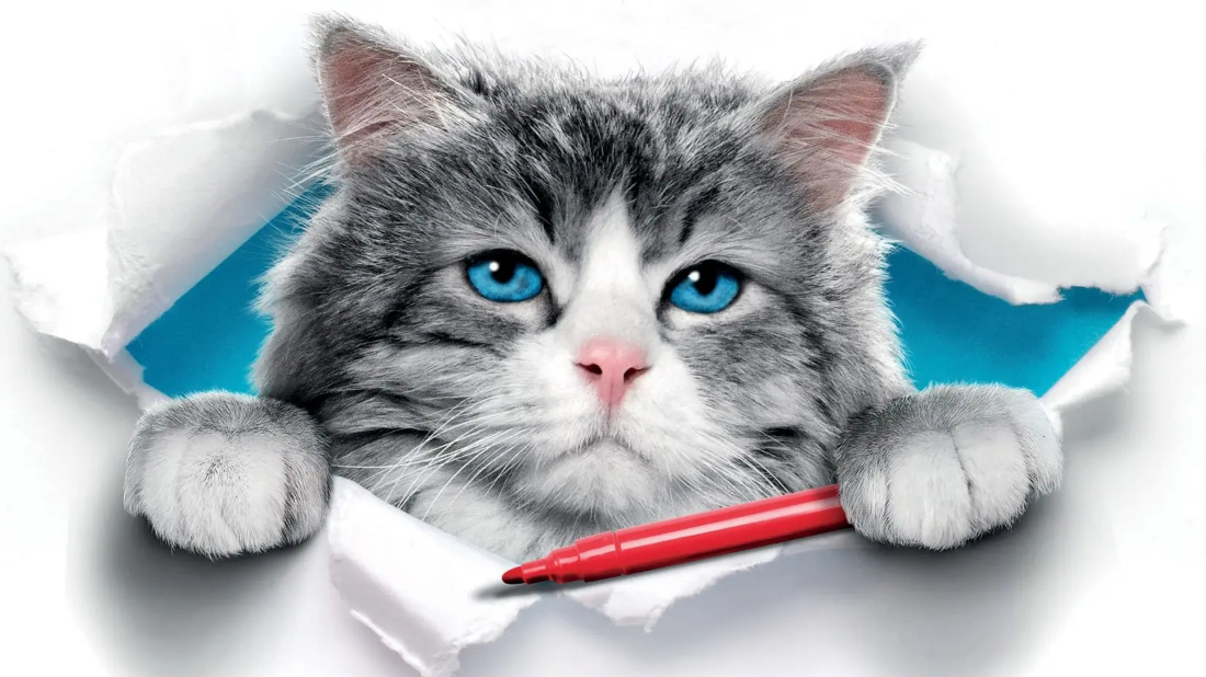 Dokuz Canlı Bay Tüylü (Nine Lives) izlemek için tıklayınız.