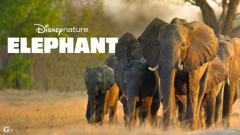 Elephant (Elephant) izlemek için tıklayınız.