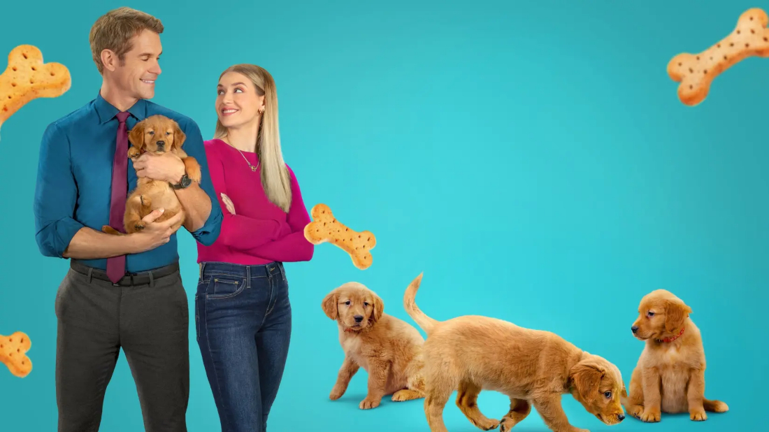 Everything Puppies (Everything Puppies) izlemek için tıklayınız.