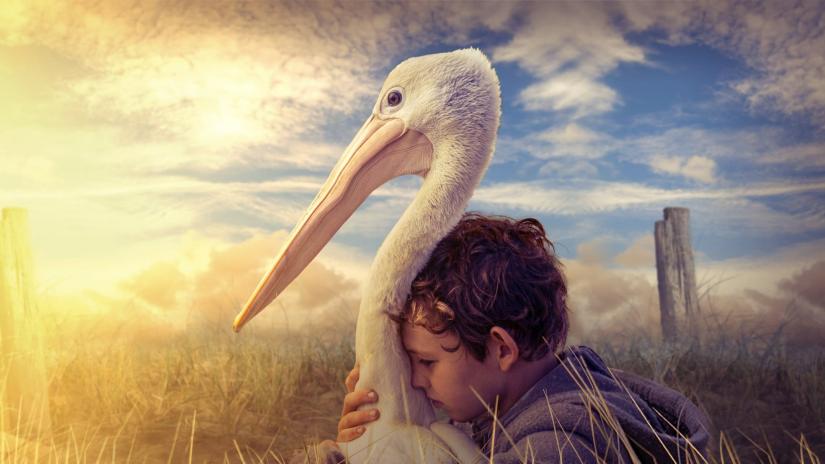 Fırtına Çocuk (Storm Boy) izlemek için tıklayınız.