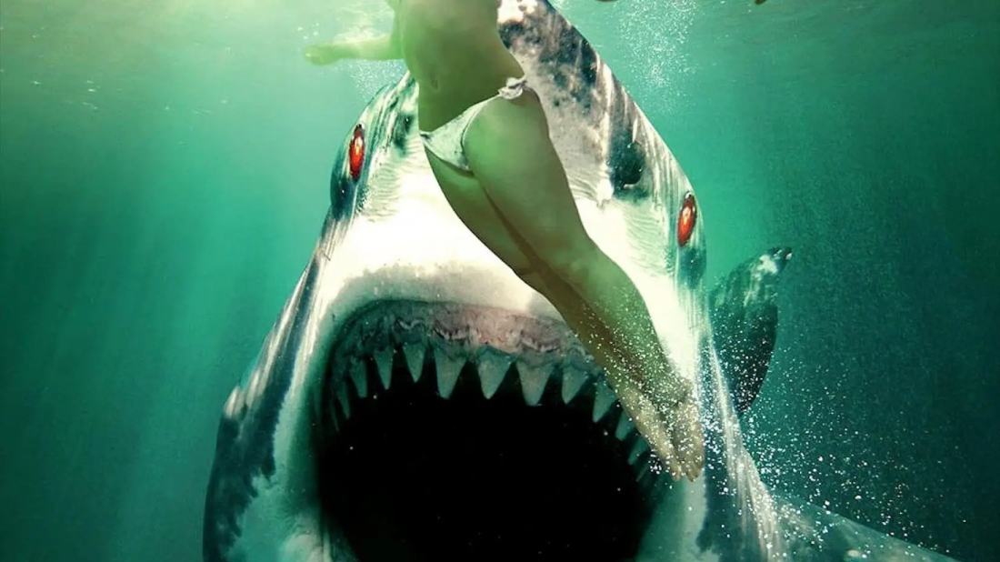Hayalet Köpekbalığı (Ghost Shark) izlemek için tıklayınız.