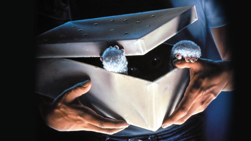 Gremlinler (Gremlins) izlemek için tıklayınız.