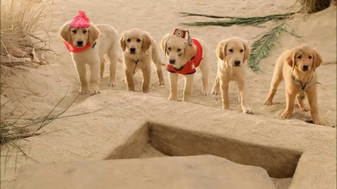 Treasure Buddies (Treasure Buddies) izlemek için tıklayınız.