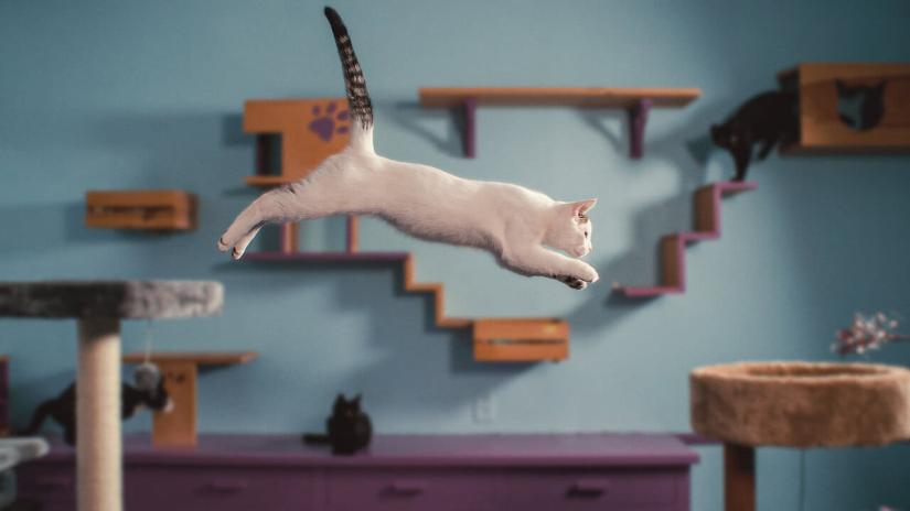 Kedilerin Aklından Neler Geçiyor? (Inside the Mind of a Cat) izlemek için tıklayınız.