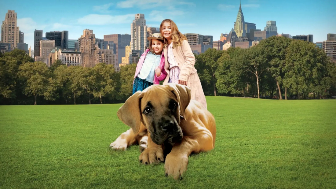 Chestnut: Hero of Central Park (Chestnut: Hero of Central Park) izlemek için tıklayınız.