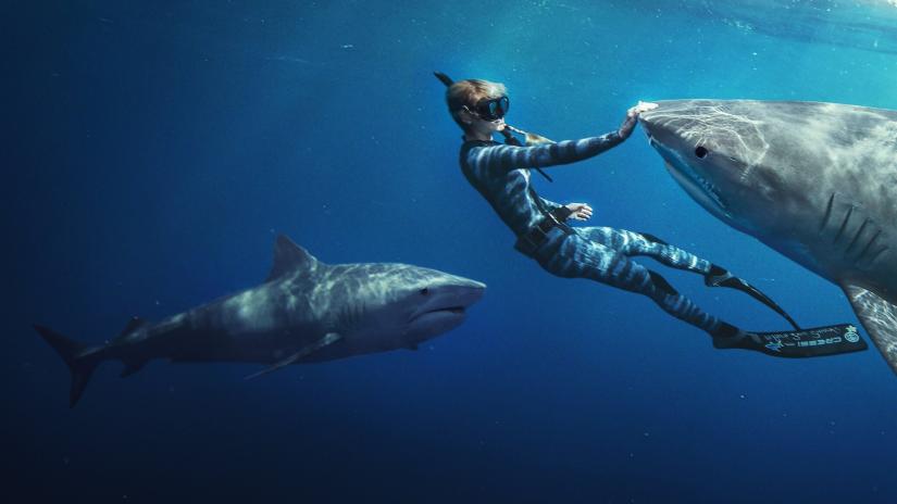 Köpek Balıklarına Fısıldayan Kadın (Shark Whisperer) izlemek için tıklayınız.