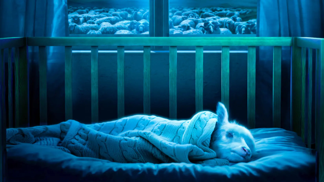 Lamb (Dýrið) izlemek için tıklayınız.