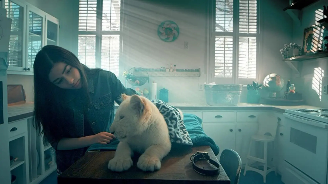 Lena and Snowball (Lena and Snowball) izlemek için tıklayınız.