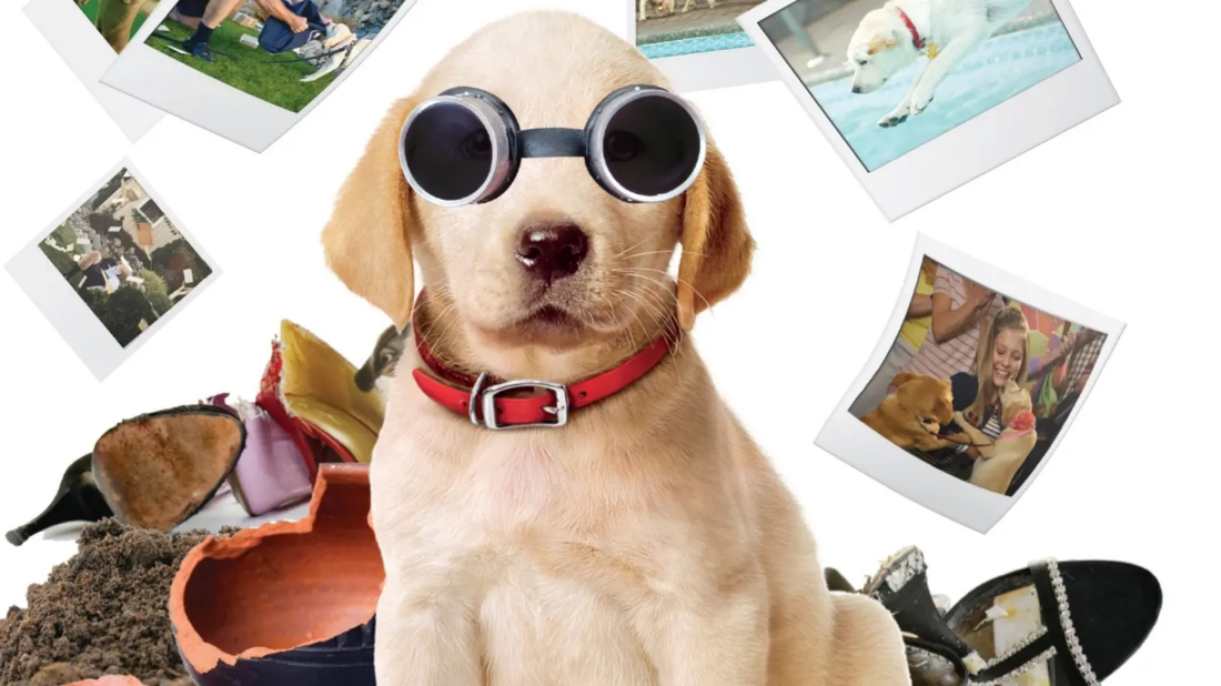 Marley & Me: The Puppy Years (Marley & Me: The Puppy Years) izlemek için tıklayınız.