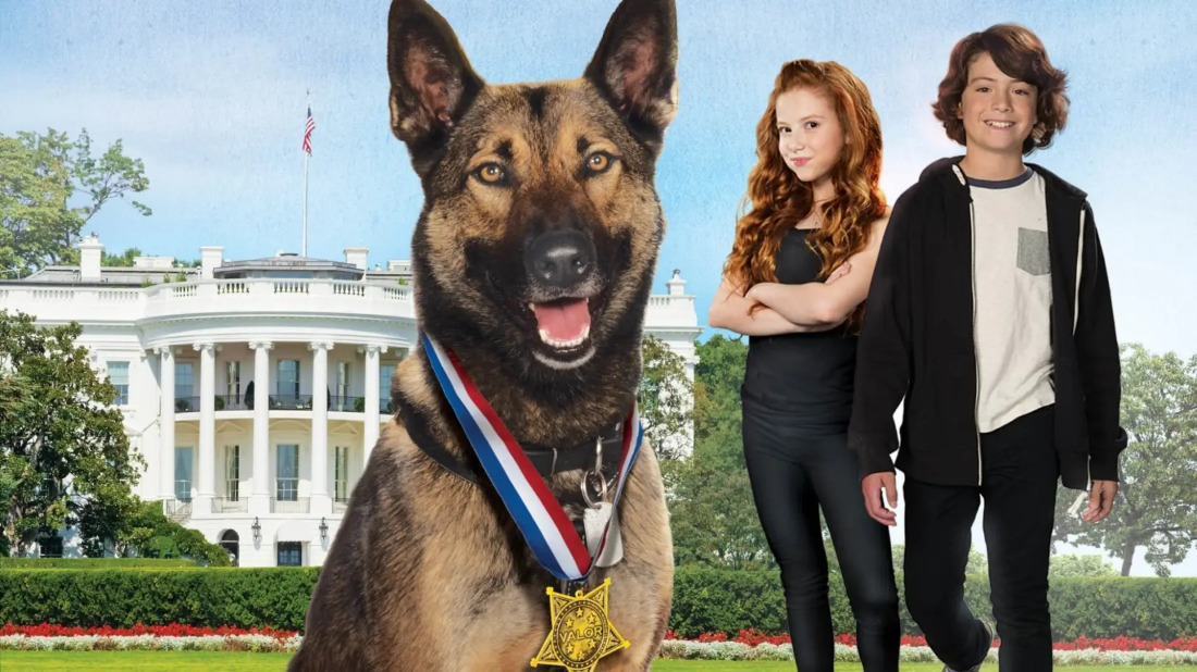 Max 2: Beyaz Saray Kahramanı (Max 2: White House Hero) izlemek için tıklayınız.