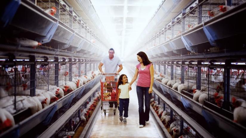 Yemeğimizi Zehir Eden Kirli Gerçekler (Poisoned: The Dirty Truth About Your Food) izlemek için tıklayınız.