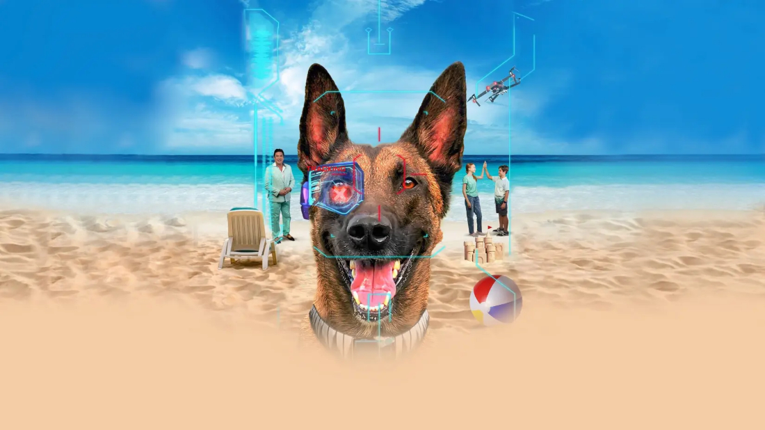 R.A.D.A.R.: The Adventures of the Bionic Dog (R.A.D.A.R.: The Adventures of the Bionic Dog) izlemek için tıklayınız.