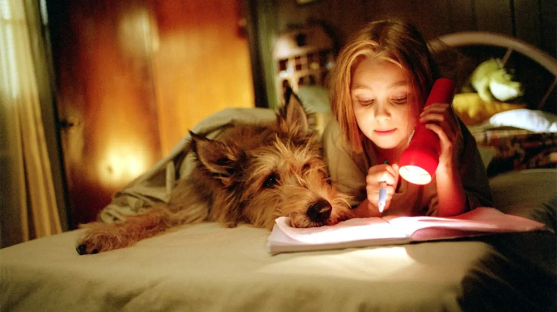 Because of Winn-Dixie (Because of Winn-Dixie) izlemek için tıklayınız.