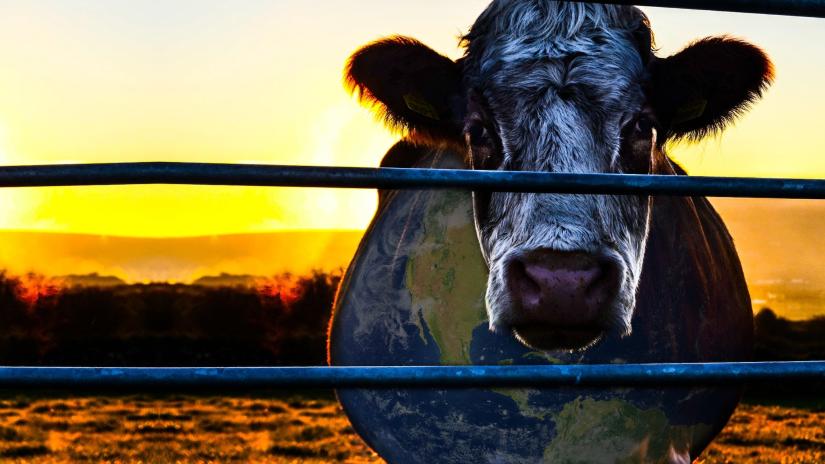 Cowspiracy: The Sustainability Secret (Cowspiracy: The Sustainability Secret) izlemek için tıklayınız.