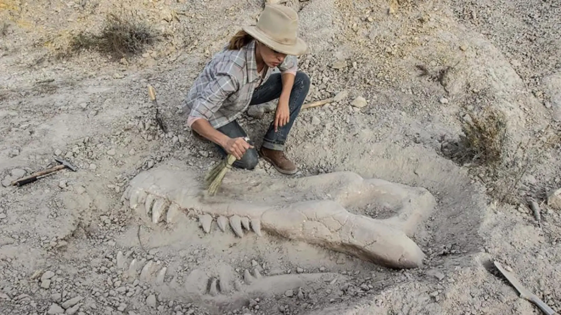 Valley of Bones (Valley of Bones) izlemek için tıklayınız.
