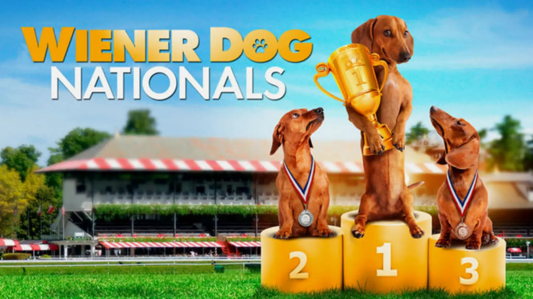 Wiener Dog Nationals (Wiener Dog Nationals) izlemek için tıklayınız.