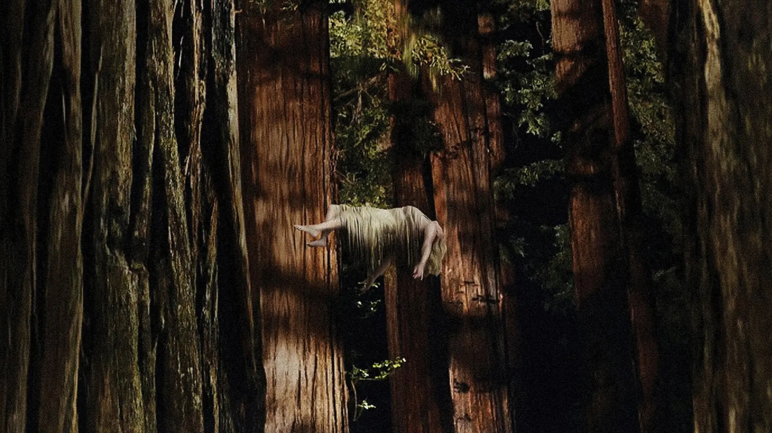 Woodshock (Woodshock) izlemek için tıklayınız.