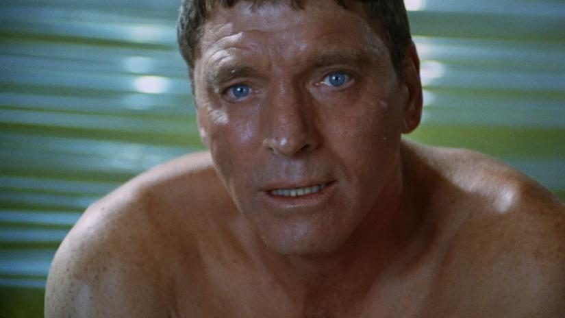 Aşıklar (The Swimmer) izlemek için tıklayınız.